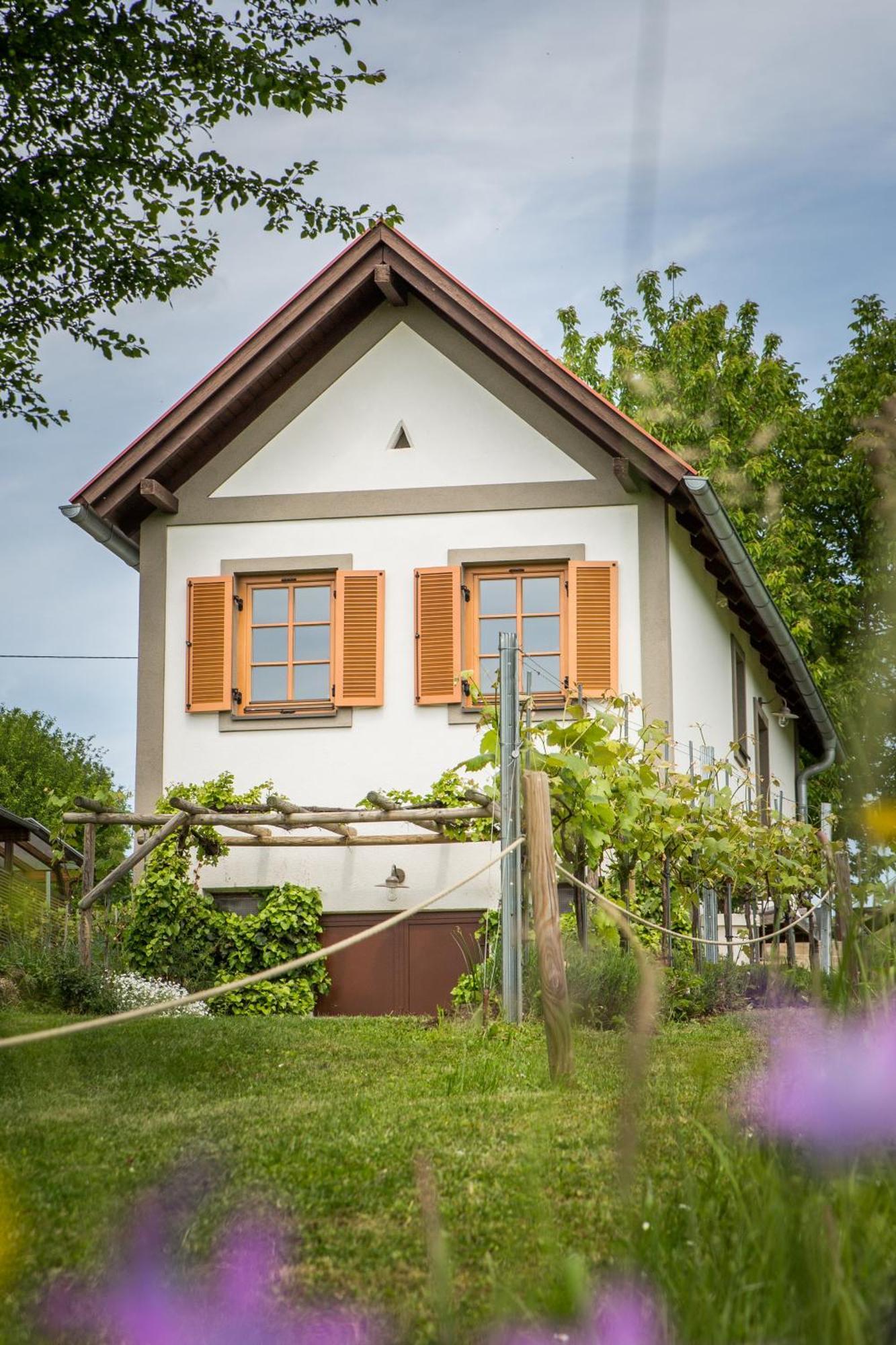 Weinlofts Weinloft I Villa Edlitz im Burgenland Luaran gambar