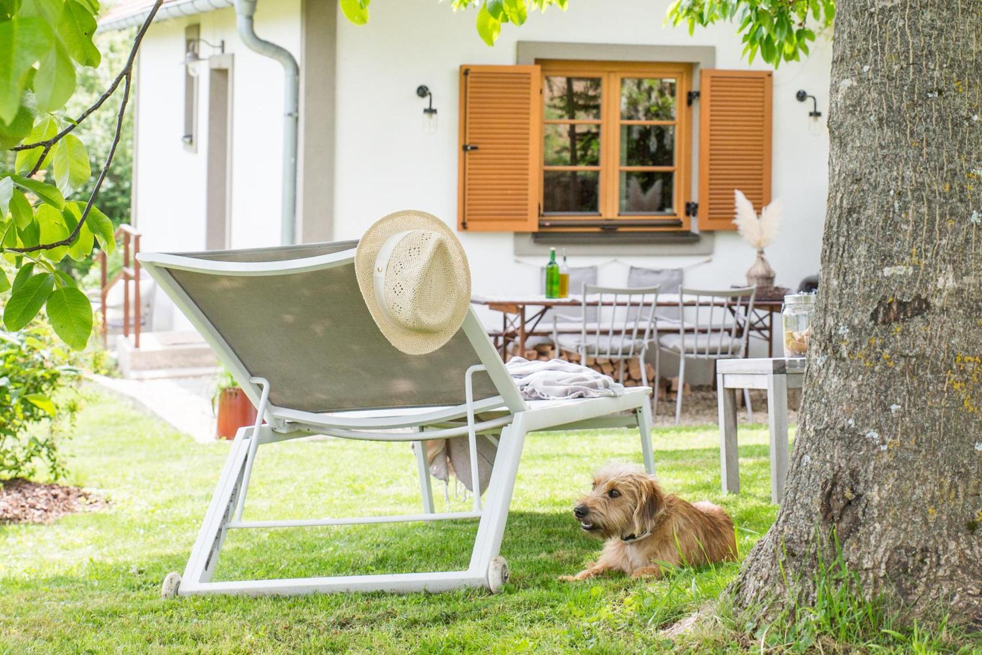 Weinlofts Weinloft I Villa Edlitz im Burgenland Luaran gambar